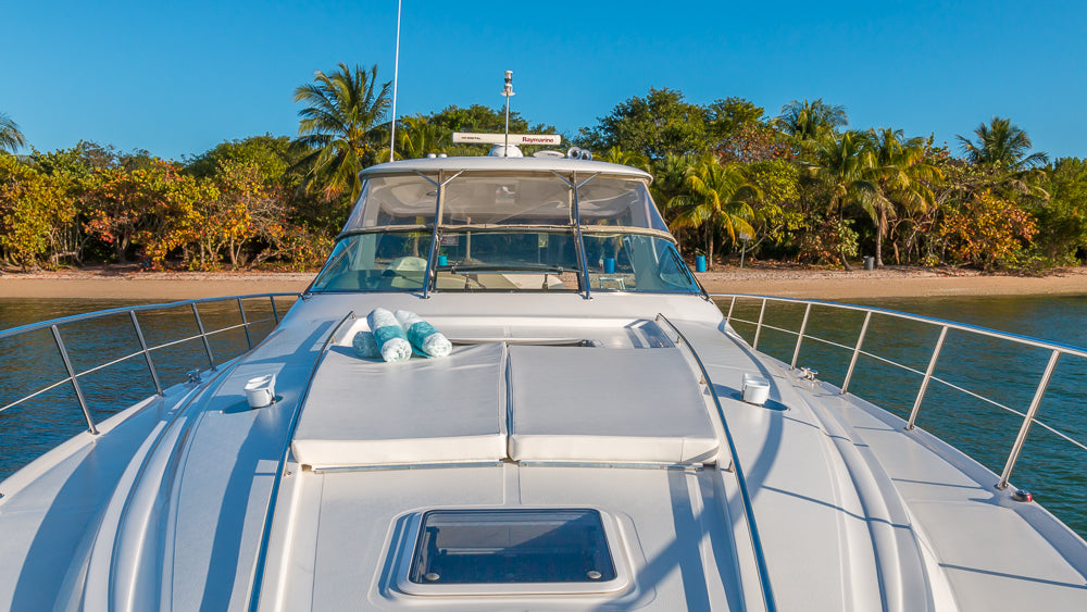 Sea Ray 55