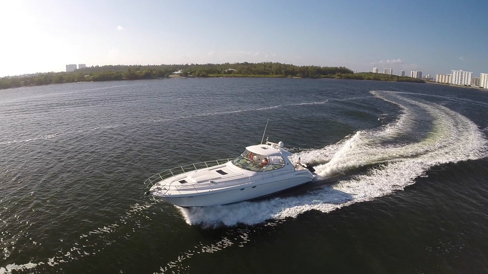 Sea Ray 55