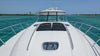 Sea Ray Sundancer 55