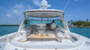 Sea Ray Sundancer 55