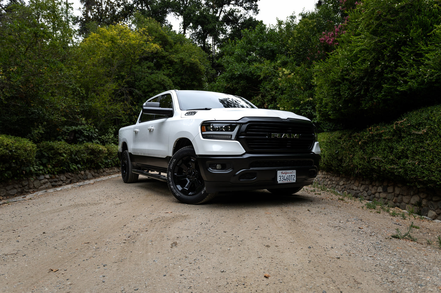 White Ram 2