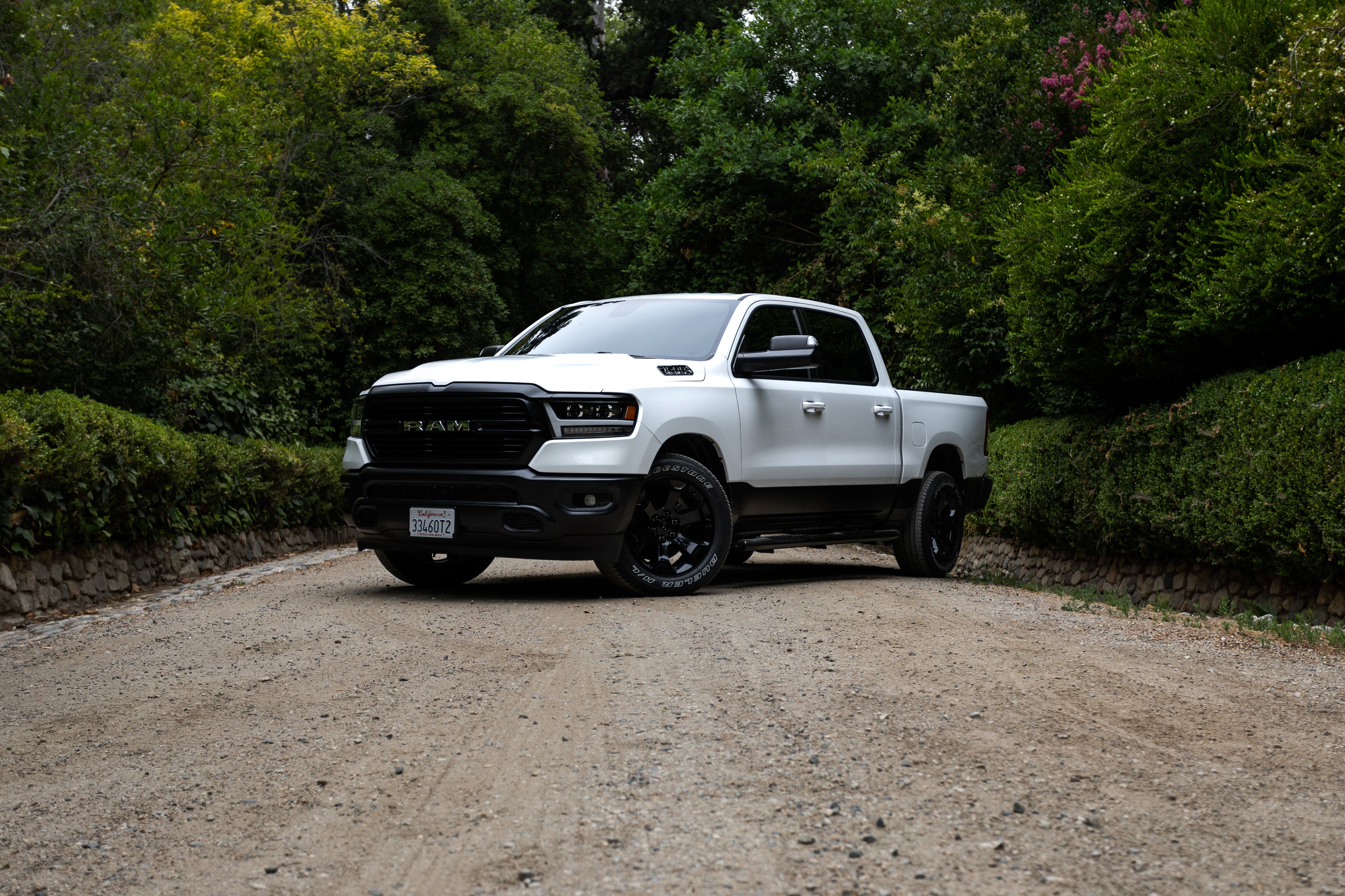 White Ram 2