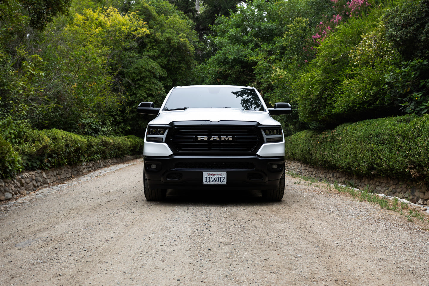 White Ram 2