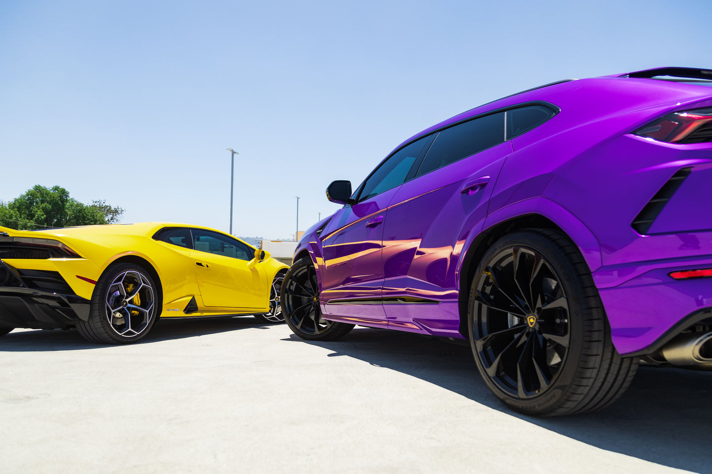 Purple and Gold Lamborghini Urus