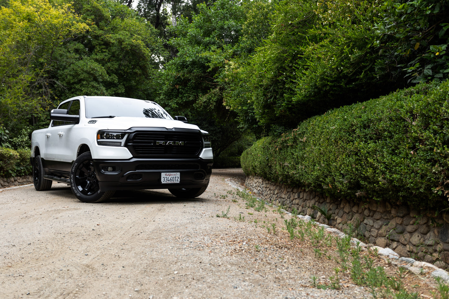 White Ram 2