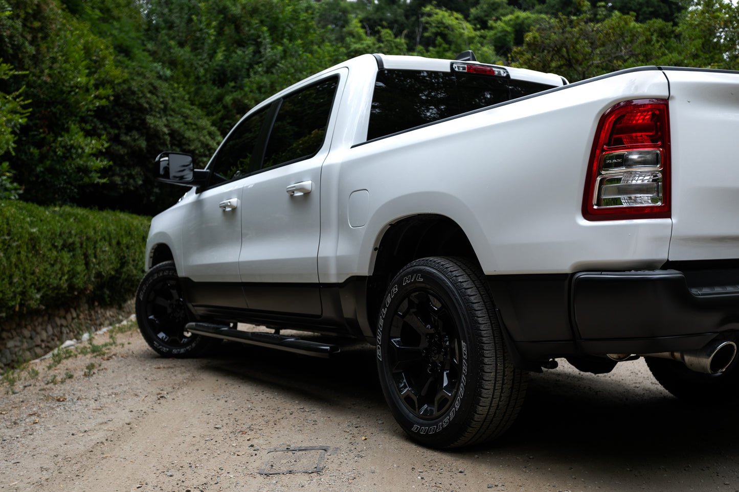 White Ram 2